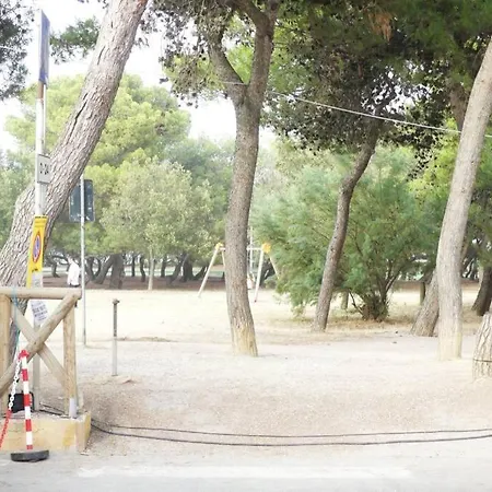 La Pinetina ⭑⭑⭑⭑⭑ *